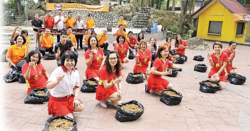 為傳承種姜文化，馬來西亞客家文化協(xié)會檳城分會于日前首辦一場集體種姜活動，近50人現(xiàn)場共同學習種姜。（來源：馬來西亞光華網(wǎng)）