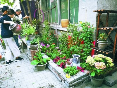 中央美院師生和居民一起建設(shè)微花園。本報記者 于麗爽攝