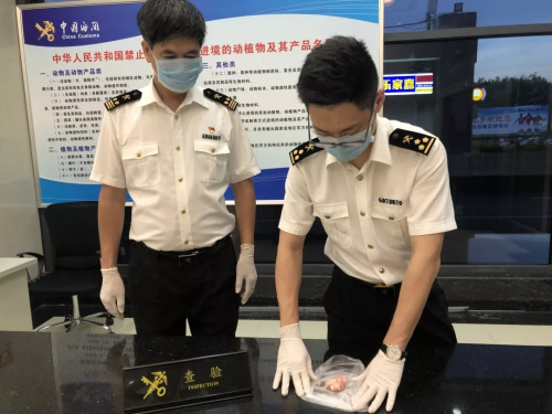 圖片來源:海關(guān)發(fā)布微信公眾號 圖片來源:海關(guān)發(fā)布微信公眾號