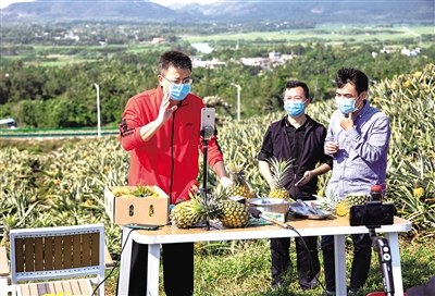 萬寧市委書記賀敬平(左)網(wǎng)絡(luò)直播幫助農(nóng)民賣菠蘿。