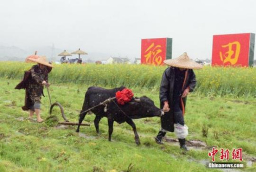 　資料圖：正值中國二十四節(jié)氣的春分，湖南省安仁縣“趕分社”祭祀開耕活動在安仁縣稻田公園舉行。<a target='_blank' >中新社</a>記者 唐志卓 攝