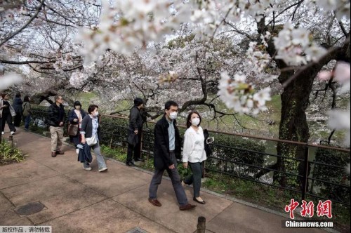 資料圖：日本東京上野公園游人戴口罩賞櫻花。
