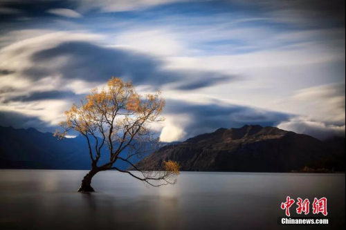 資料圖：新西蘭瓦納卡湖LakeWanaka。<a target='_blank' >中新社</a>發(fā) 張鐘明 攝