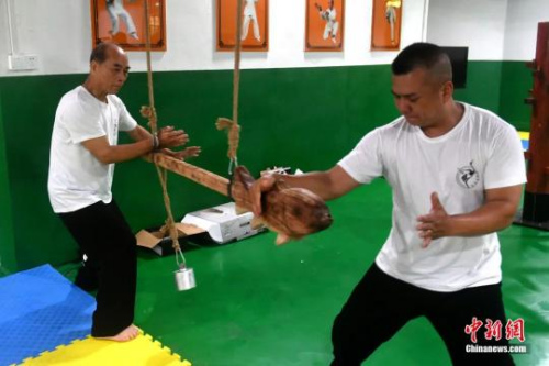 余丹秋為徒弟們傳授動(dòng)作要領(lǐng)。呂明攝