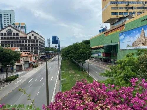 疫情下的新加坡街道，平日擁堵，現(xiàn)在連車都很少看到。(楊光供圖)