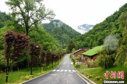 九寨溝熊貓園外景?！【耪瘻峡h委宣傳部提供 