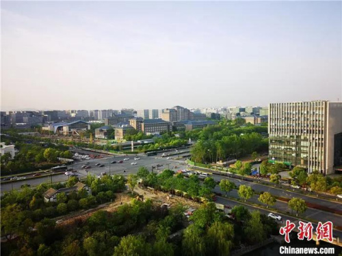 出梅后浙江各地迎來高溫。張煜歡 攝