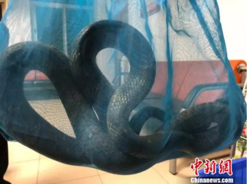 資料圖。來源：<a target='_blank'  >中新網(wǎng)</a>