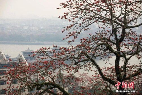 資料圖：廣東省潮州市韓愈紀念館附近景觀。劉莉生 攝