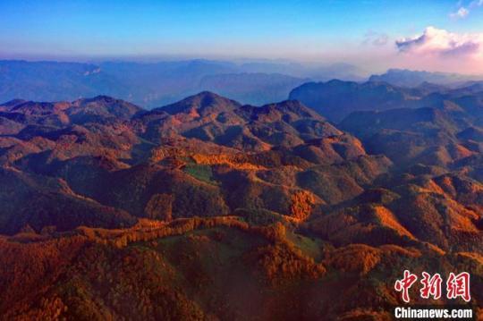 川北曾家山秋色正濃迎來(lái)浪漫紅葉季