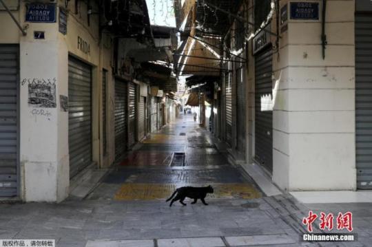 資料圖：希臘雅典，一只貓在空蕩的商業(yè)街上漫步。