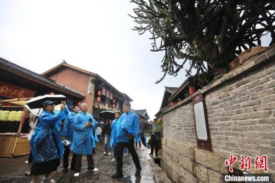 海外華媒代表觀(guān)看建昌古城街頭的一棵百年老樹(shù)。　王磊 攝