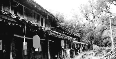 中國(guó)僑網(wǎng)瑞安市湖嶺鎮(zhèn)均路村,電視劇《溫州一家人》古樹村的原型(資料圖片)