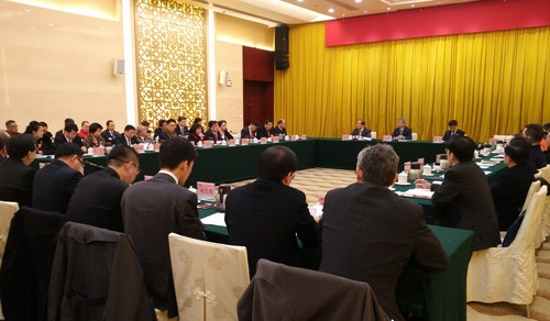 廣東省政協(xié)十一屆四次會(huì)議召開(kāi)海外僑胞專(zhuān)題座談會(huì)(林龍勇