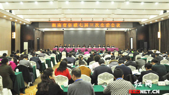 湖南省僑聯(lián)七屆三次全委會(huì)議在長(zhǎng)沙召開(kāi)
