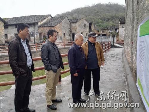 中國僑網(wǎng)李仲民副巡視員(右二)仔細(xì)瀏覽連州石蘭村古村落改造工程情況展板
