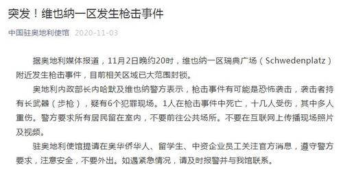 中國僑網圖片來源:中國駐奧地利使館微信公眾號截圖