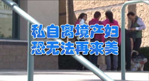 中國(guó)僑網(wǎng)(美國(guó)中文網(wǎng))