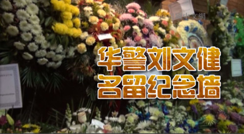 中國僑網(wǎng)
