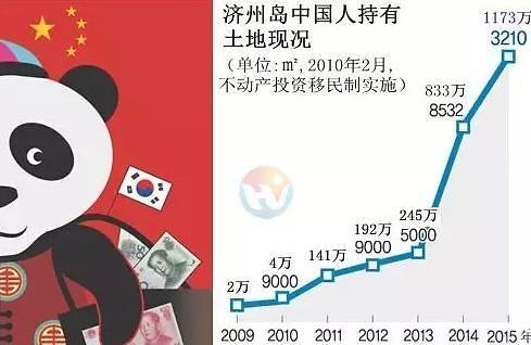 中國僑網