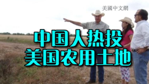 (美國中文網)
