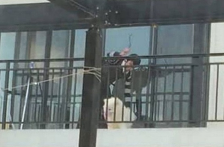 (澳洲網)