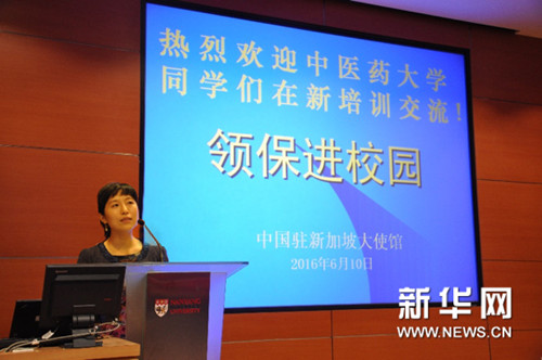 圖為朱紅梅領(lǐng)事為同學(xué)們講解領(lǐng)保知識。新華網(wǎng)發(fā)(楊賽攝)