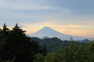 (日本新華僑報(bào)網(wǎng))