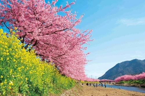 中國(guó)僑網(wǎng)(日本新華僑報(bào)網(wǎng))