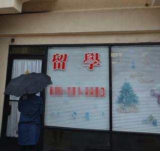 中國(guó)僑網(wǎng)(美國(guó)《世界日?qǐng)?bào)》資料圖/高梓原 攝)