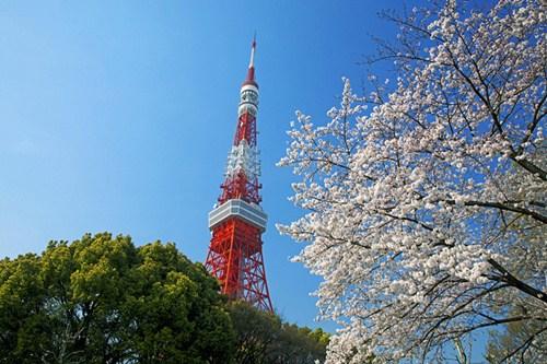 中國僑網(wǎng)資料圖。(日本新華僑報網(wǎng))