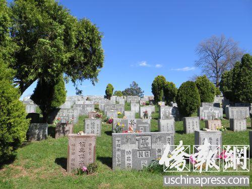 中國(guó)僑網(wǎng)資料圖,位于紐約皇后區(qū)格蘭黛爾的柏山墓園有許多華人的墓地碑牌。(美國(guó)《僑報(bào)》/王伊琳 攝)
