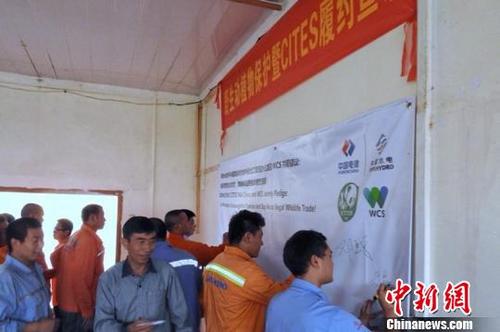 中國僑網(wǎng)中國水電建設(shè)集團(tuán)國際工程有限公司員工在抵制非法野生動植物貿(mào)易的倡議上簽字 杜曉通 攝