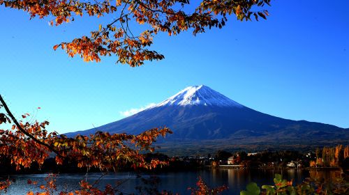 (日本新華僑報(bào)網(wǎng))
