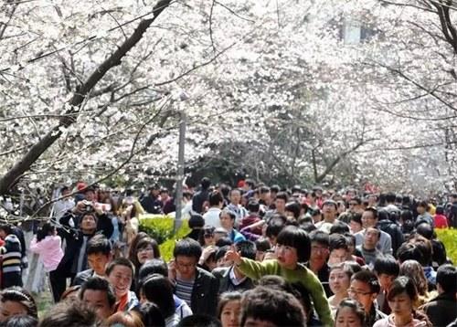 中國僑網(wǎng)(日本新華僑報(bào)網(wǎng))
