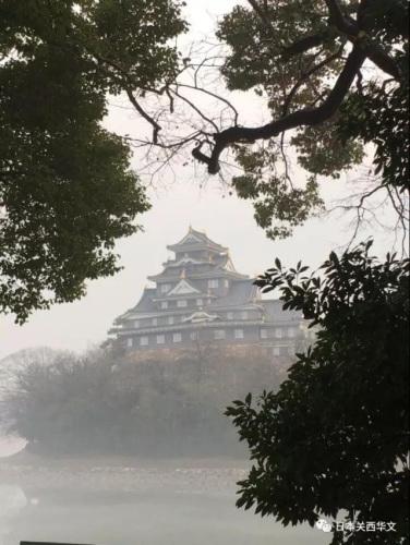 中國僑網范曾美術館所在的岡山