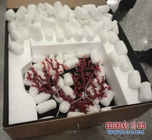 中國僑網