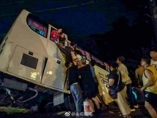 中國僑網