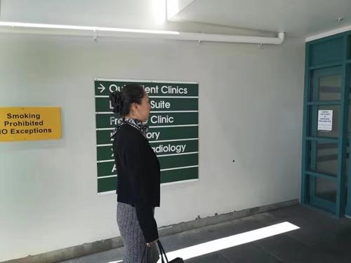中國僑網