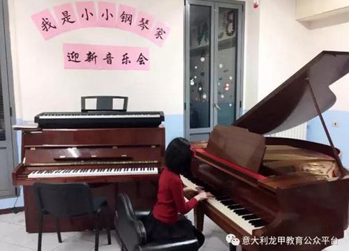 中國僑網(wǎng)迎新音樂會(huì)現(xiàn)場(chǎng)