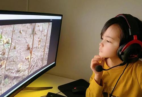 中國僑網(圖片來源:中國華文教育基金會)