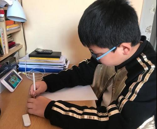 中國僑網(圖片來源:中國華文教育基金會)