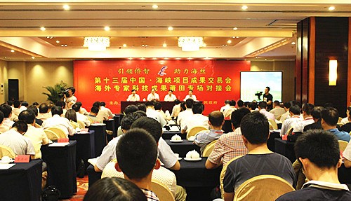 中國僑網(wǎng)6·18海外專家科技成果莆田專場對接會現(xiàn)場。