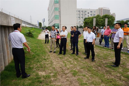 中國僑網(wǎng)與會(huì)人員參觀建華管樁