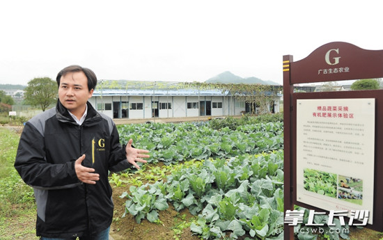 王洪健從日本留學(xué)歸國(guó),選擇了在父親的老家金井開始推廣自己的新種田術(shù)。長(zhǎng)沙晚報(bào)記者