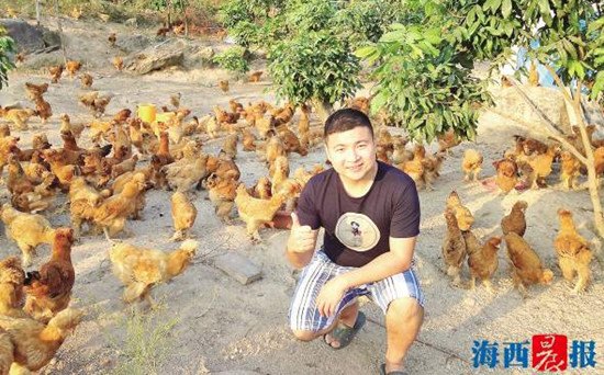 中國(guó)僑網(wǎng)陳祁睿和他心愛(ài)的宮廷黃雞。 記者 董春輝 攝
