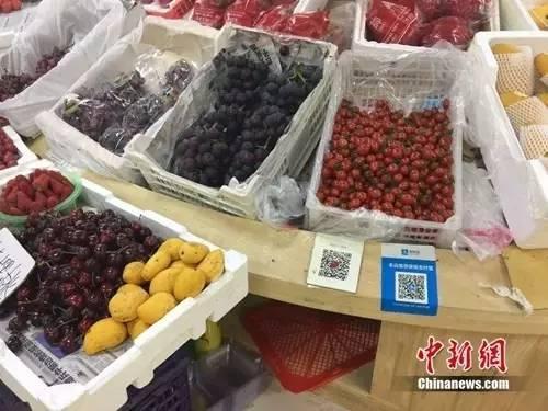 中國僑網(wǎng)