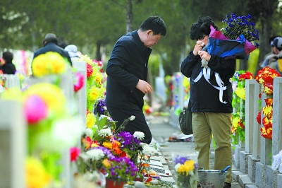 中國(guó)僑網(wǎng)數(shù)萬(wàn)鮮花 免費(fèi)祭掃(《北京晚報(bào)》/張玉軍 攝)