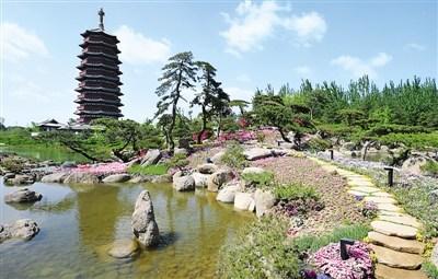 中國僑網(wǎng)雁棲湖風(fēng)光。 新華社記者 鞠煥宗攝