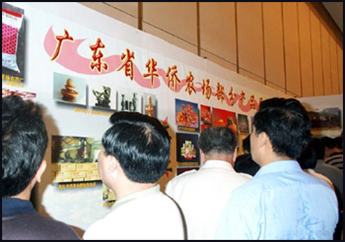 點(diǎn)擊看大圖